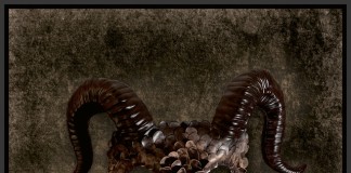 JETHRO TULL – “Curious ruminant” (Inside Out) Jethro