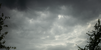 RHEINKAOS interview Rheinkaos