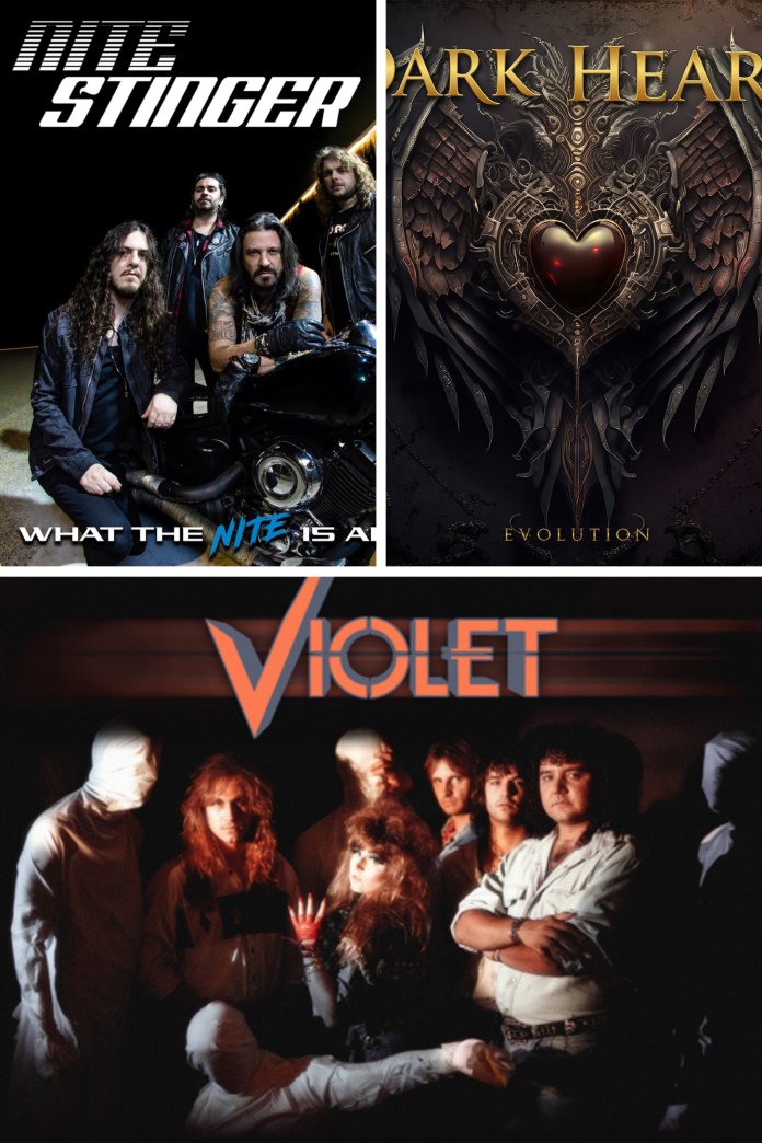 Shelter Me February 2026 Shelter