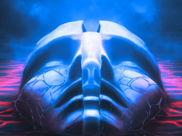 SYLOSIS – “The new flesh” (Nuclear Blast) Sylosis