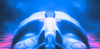 SYLOSIS – “The new flesh” (Nuclear Blast) Sylosis