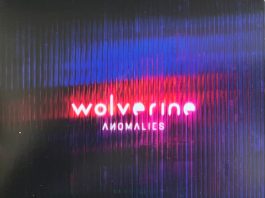 WOLVERINE – “Anomalies” (Music Theories Recordings) Wolverine