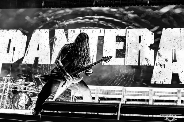 Pantera